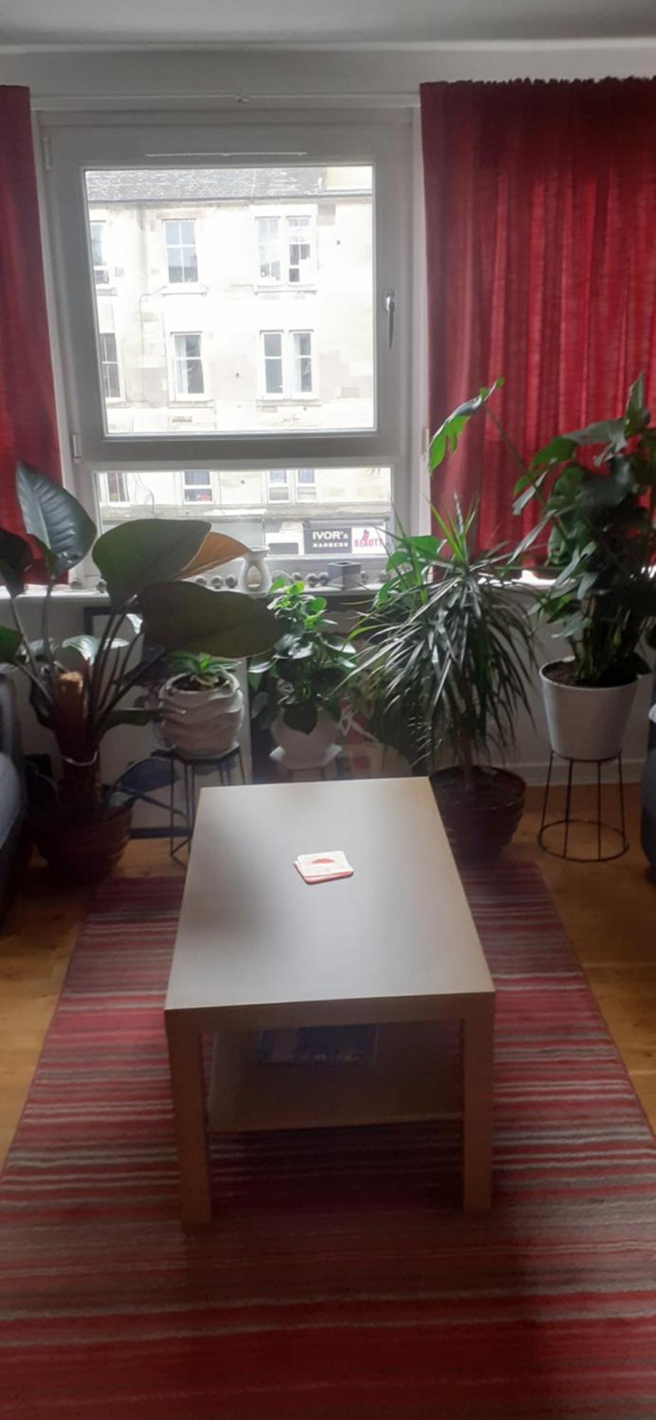 Beautiful King Room In Leith Walk Edinburgh Exterior photo